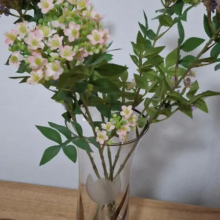 Appartamento Neva With Free Private Parking Space Spalato